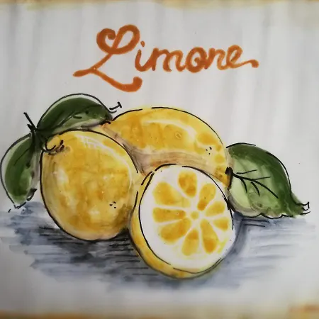 Zenzero E Limone Катания